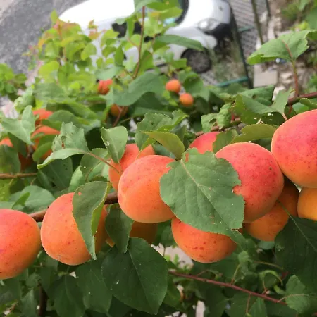 La Fontanella Montecchia di Crosara