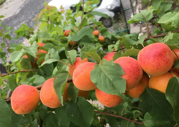 La Fontanella Montecchia di Crosara